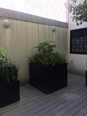 Suri Bienes Raíces - Departamento en venta la colonia Del Valle de 79 metros, super ubicado, muy cuidado, edad cinco años
